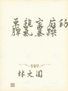 单亲家庭的孩子脾气暴躁