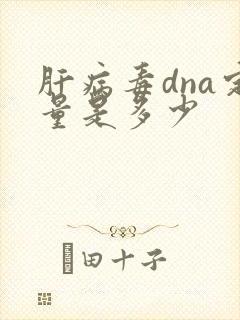 肝病毒dna定量是多少