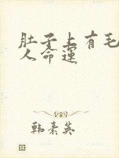 肚子上有毛的男人命运