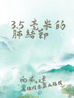 3.5 毫米的肺结节