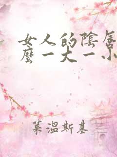 女人的阴唇为什么一大一小