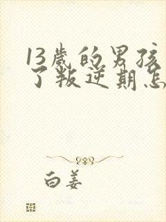 13岁的男孩到了叛逆期怎麽教