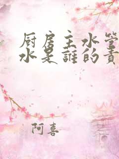 厨房主水管道漏水是谁的责任