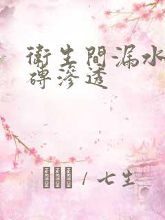 卫生间漏水免砸砖渗透