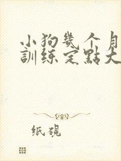 小狗几个月开始训练定点大小便