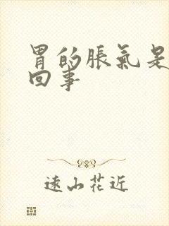 胃的胀气是怎么回事