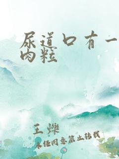 尿道口有一粒粒肉粒