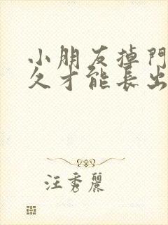 小朋友掉门牙多久才能长出来