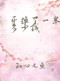 牙掉了一半补要多少钱