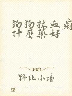 狗狗拉血痢疾吃什么药好