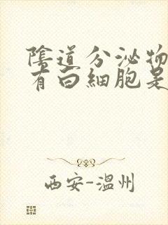 阴道分泌物检查有白细胞是怎么回事