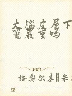 大脑皮层下缺血灶严重吗