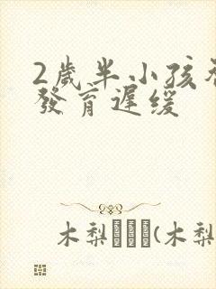 2岁半小孩智力发育迟缓