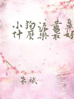 小狗流黄鼻涕吃什么药最好