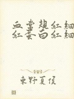 血常规红细胞血红蛋白红细胞压积偏低