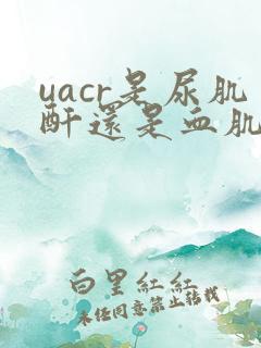 uacr是尿肌酐还是血肌酐