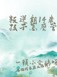 叛逆期14岁女孩子怎么管教