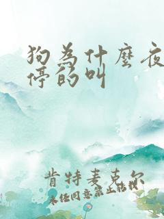 狗为什么夜里不停的叫