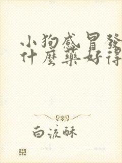 小狗感冒发烧吃什么药好得快