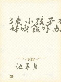 3岁小孩子不好好吃饭咋办