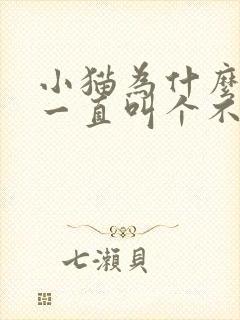 小猫为什么可以一直叫个不停