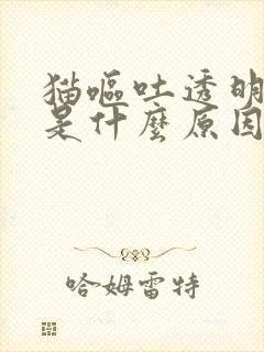 猫呕吐透明液体是什么原因