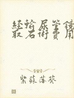 经输尿管镜碎石取石术费用