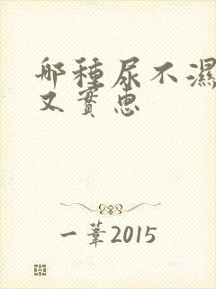 哪种尿不湿好用又实惠