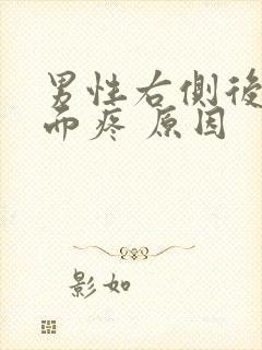 男性右侧后腰里面疼 原因