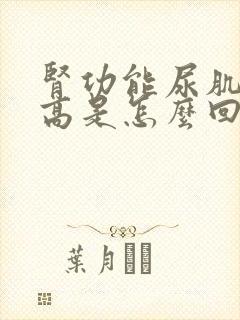 肾功能尿肌酐偏高是怎么回事