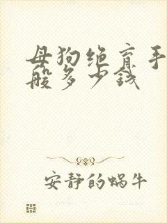 母狗绝育手术一般多少钱