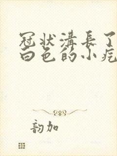 冠状沟长了一圈白色的小疙瘩