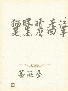 猫眼睛老流眼泪是怎么回事