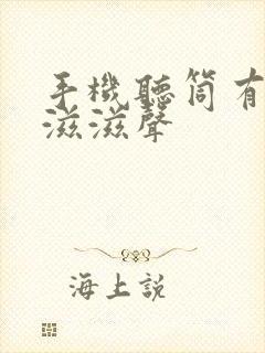 手机听筒有杂音滋滋声