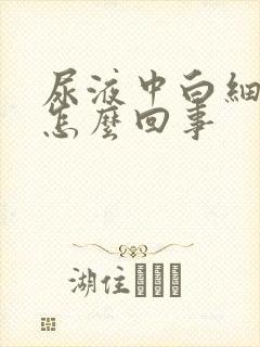 尿液中白细胞多怎么回事