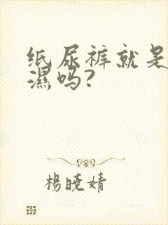 纸尿裤就是尿不湿吗?