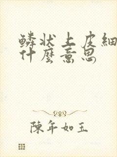 鳞状上皮细胞是什么意思