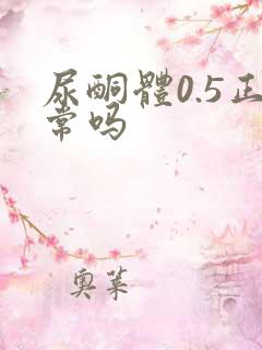 尿酮体0.5正常吗