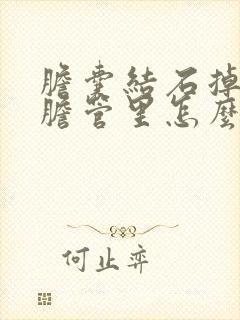 胆囊结石掉到总胆管里怎么治