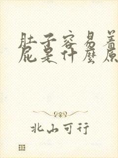 肚子容易着凉放屁是什么原因