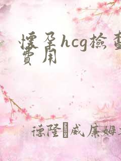 怀孕hcg检查费用