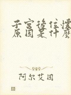 子宫后位怀孕的原因是什么