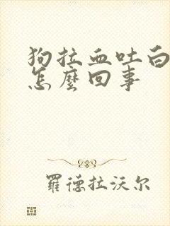 狗拉血吐白沫是怎么回事