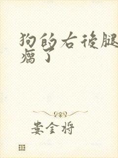 狗的右后腿突然瘸了