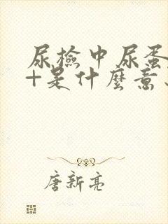 尿检中尿蛋白2+是什么意思