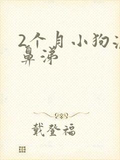 2个月小狗流黄鼻涕