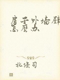 房子外墙壁渗水怎么办