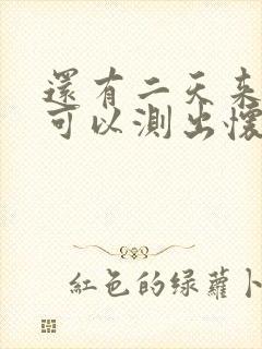 还有二天来月经可以测出怀孕吗