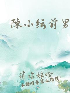 陈小纭前男友