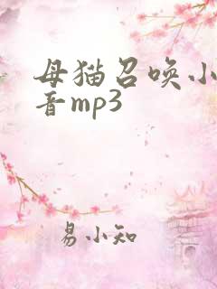 母猫召唤小猫声音mp3